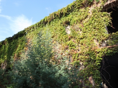 Ancien bâtiment avant les travaux de réfection de charpente et couverture, Aubenas Ardèche.JPG