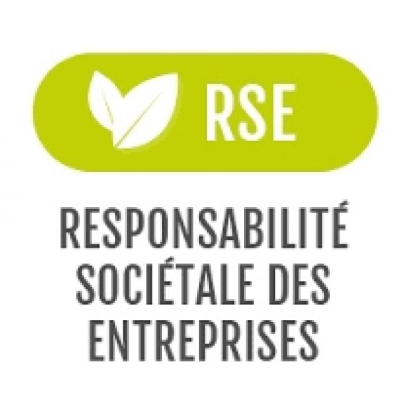 logo RSE